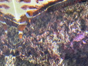 20250810_023310899_iOS