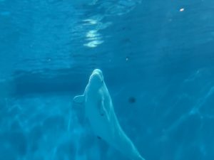 20250810_041515547_iOS